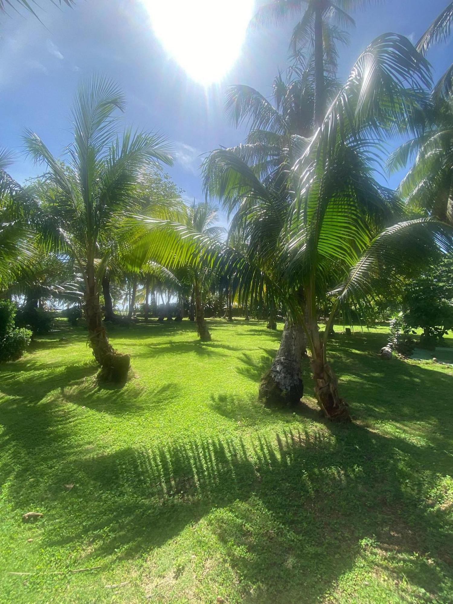South End Villas - Apartamentos Paradisiaco En El Caribe Colombiano San Andrés Εξωτερικό φωτογραφία